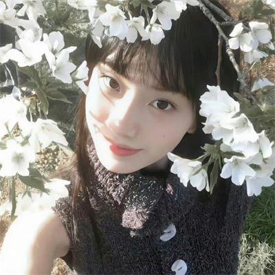 一梦如故