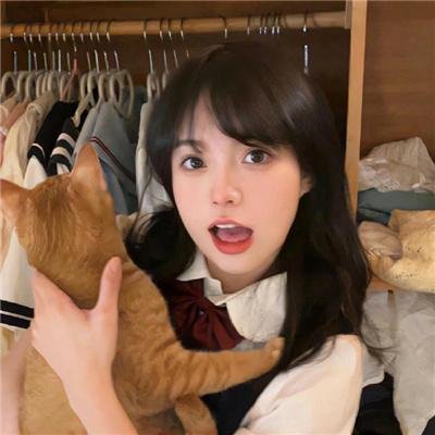 案中案